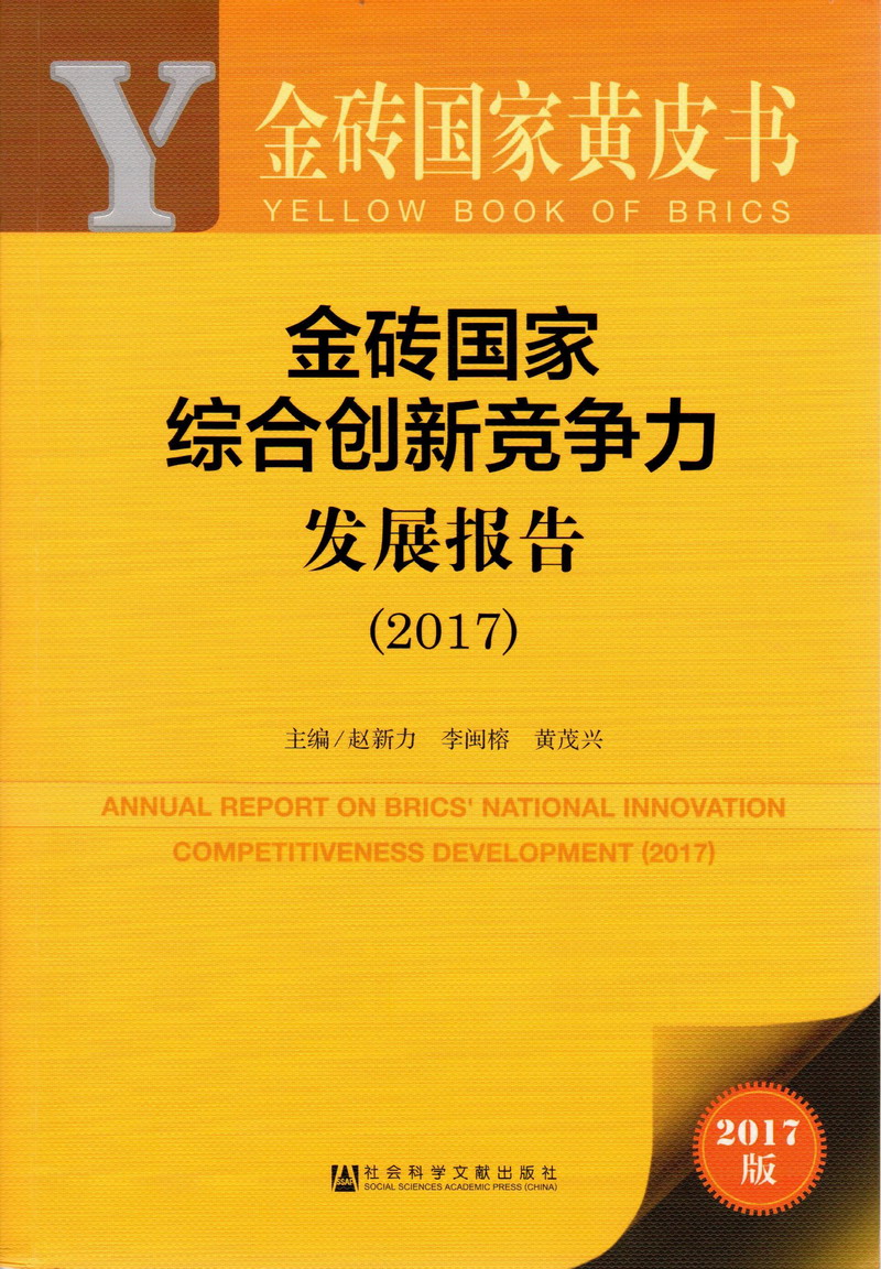 好痒啊爸爸快艹我金砖国家综合创新竞争力发展报告（2017）